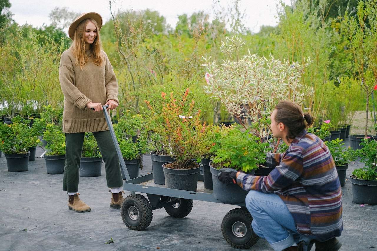 20 Best Ways to Compliment a Gardener