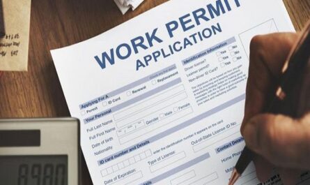 How to Apply For Work Permit In USA