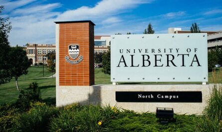 Best Universities and Colleges In Alberta Canada