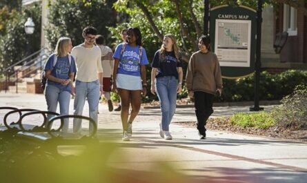 Funded University of Detroit Mercy Scholarships